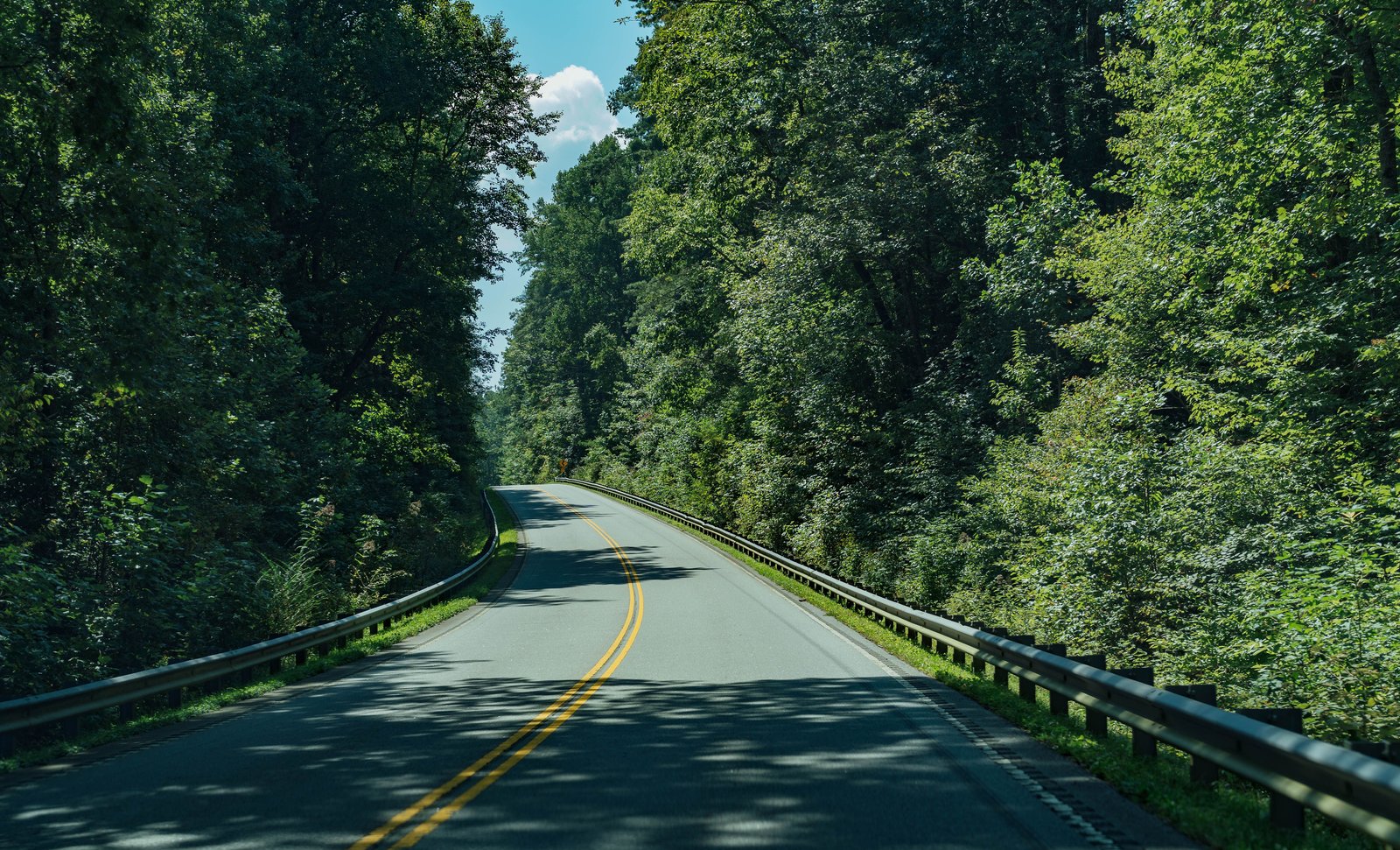 North Carolina landscape